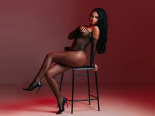 PerfectDenisse WebCAM 